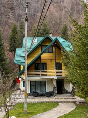 Cheile Valsanului